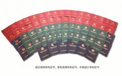 國內(nèi)水處理技術(shù)缺乏具有獨(dú)立知識產(chǎn)權(quán)的產(chǎn)品 國內(nèi)水處理技術(shù)缺乏具有獨(dú)立知識產(chǎn)權(quán)的產(chǎn)品